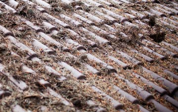 Tanygrisiau roof cleaning companies