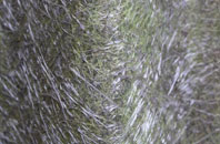 Tanygrisiau fibreglass roof work